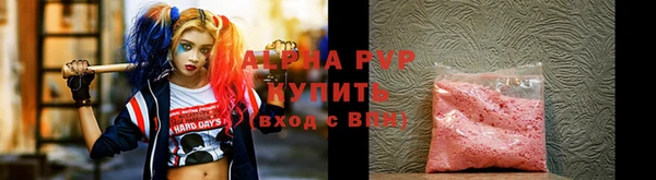 сатива Баксан