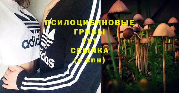 скорость Богородицк