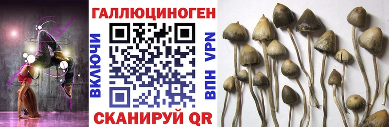 Галлюциногенные грибы Magic Shrooms  KRAKEN ТОР  Горячий Ключ 